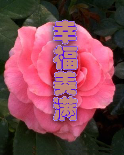 sc10.png