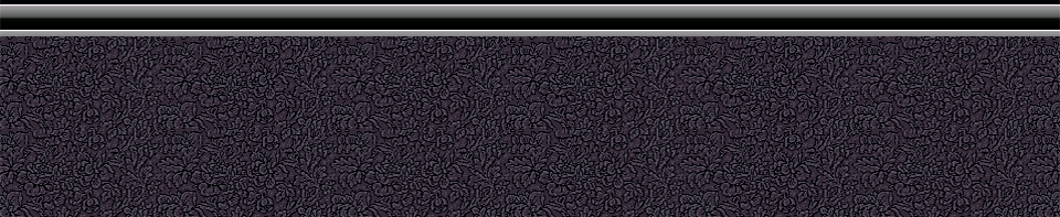 960x220下.png