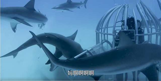 捕获 拷贝.jpg