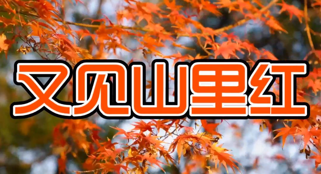 搜狗截图22年10月27日2105_1.jpg