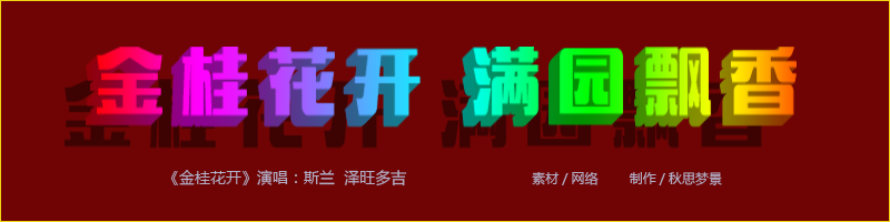 800x21.png