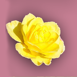 a3.png