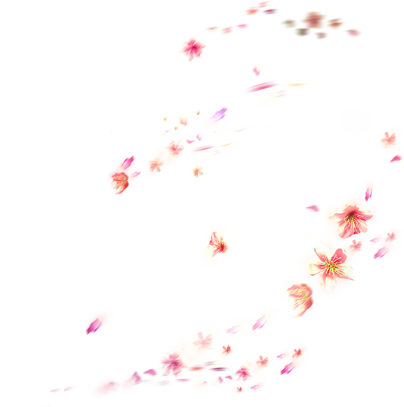 透明桃花.png