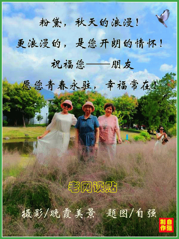 3、粉黛(1).gif