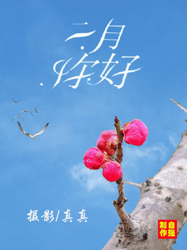 二月你好(1)_副本.gif
