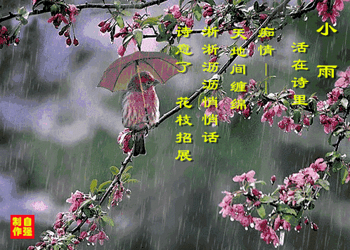 420、小雨2.gif