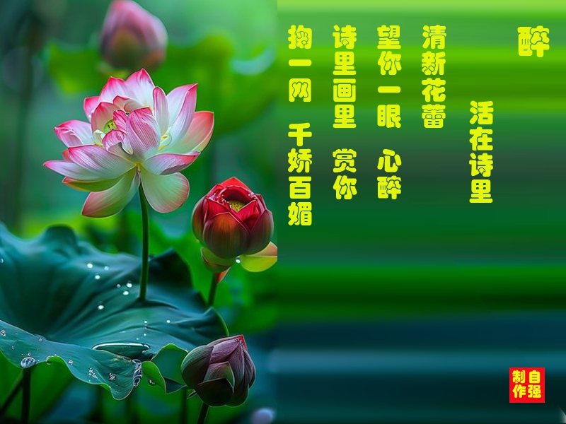 431、醉(1).jpg