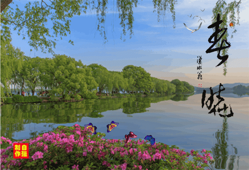 14、春晓.gif