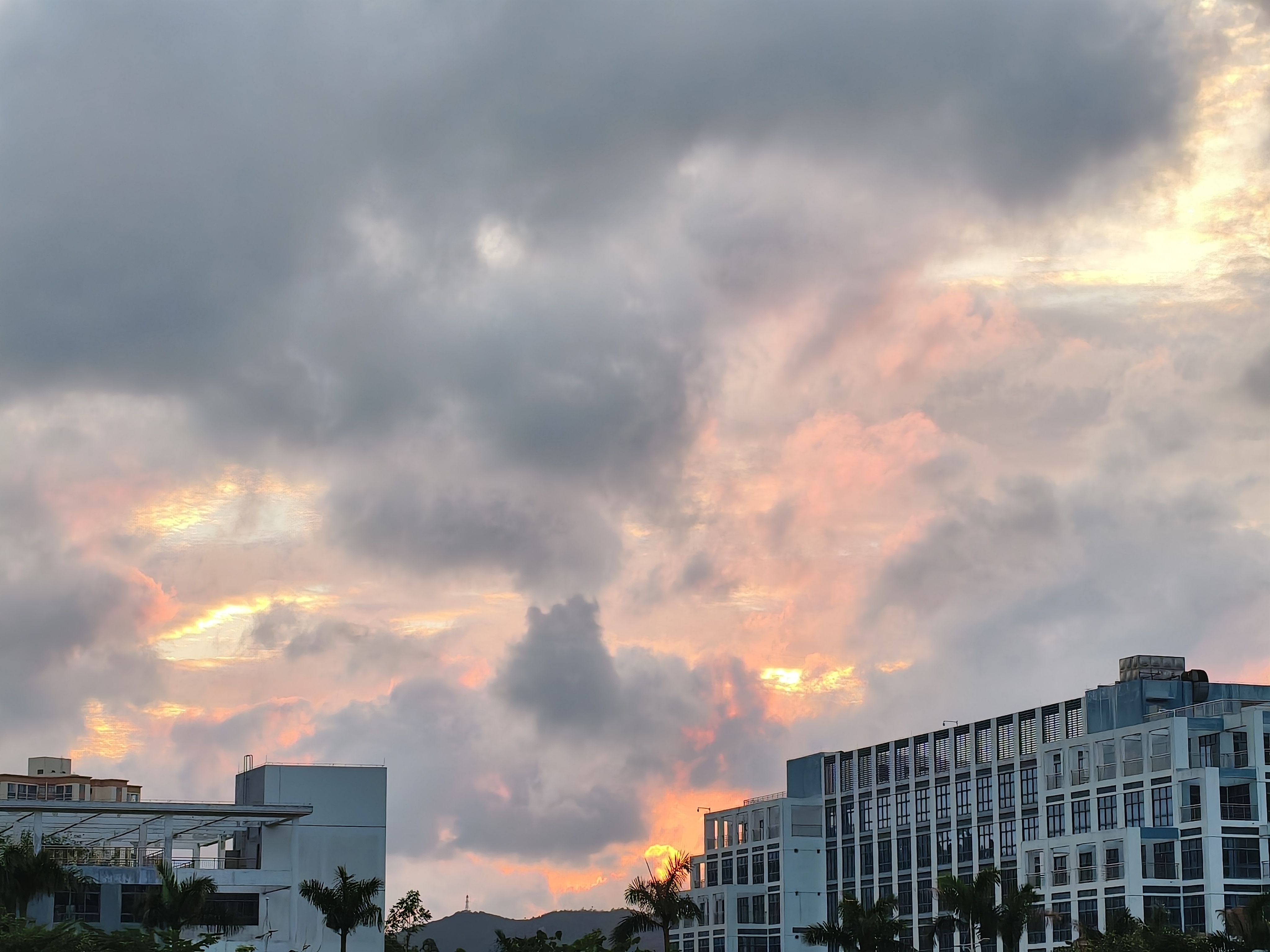 IMG_20260513_184748.jpg