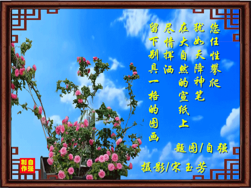 144、任性_副本.gif