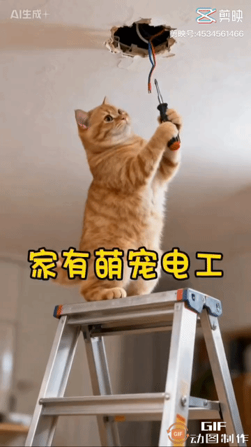 微信图片_20260528195609_1193_19.jpg