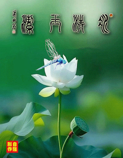 15、冰清玉洁(1)_副本.gif