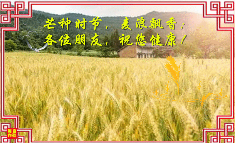 芒种4_副本.gif