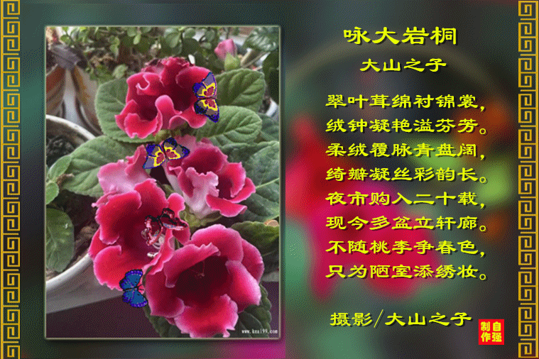 118、咏大岩桐副本.gif