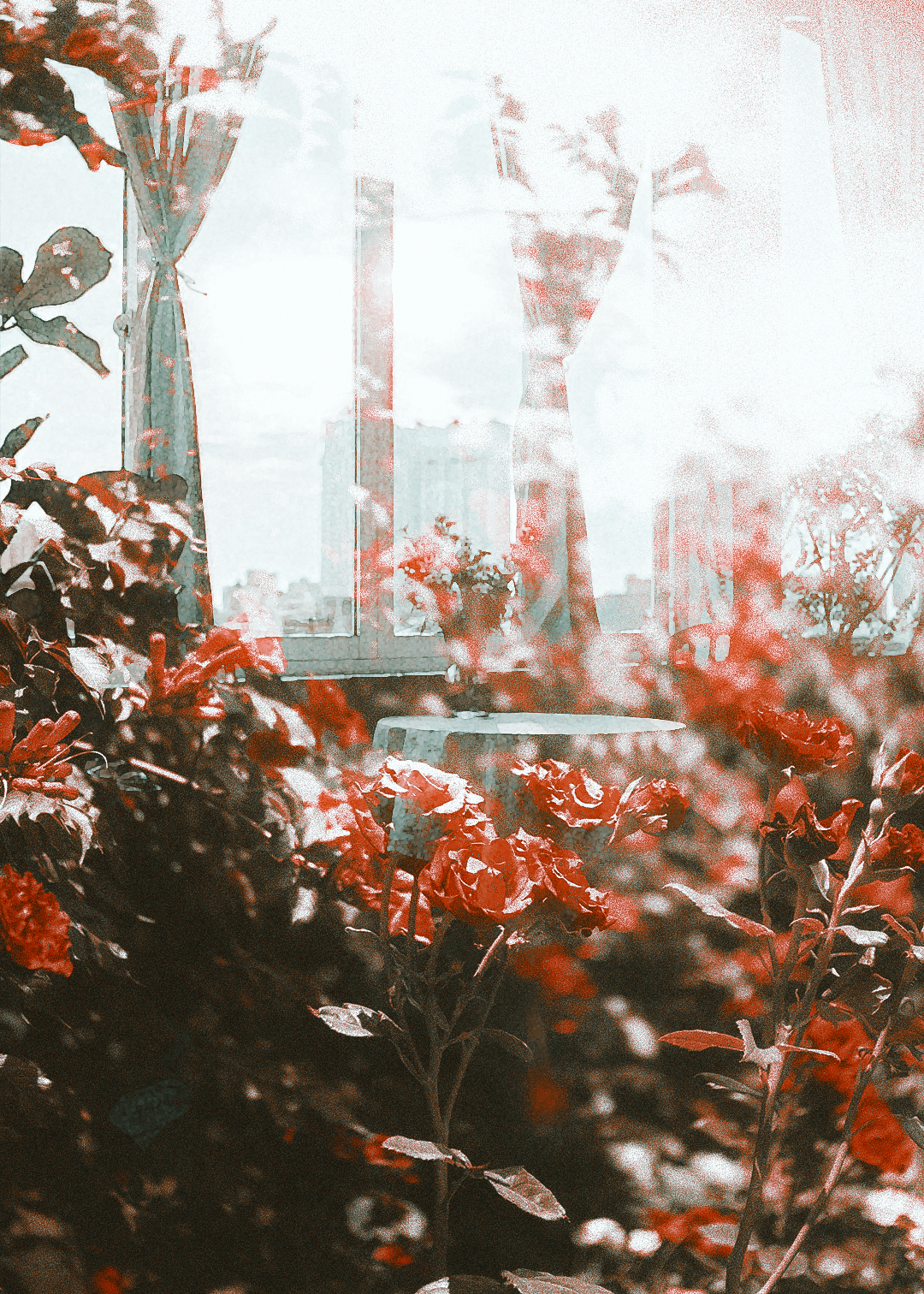 ff5650de5f0ce8cd86ec2531be3994f5.png