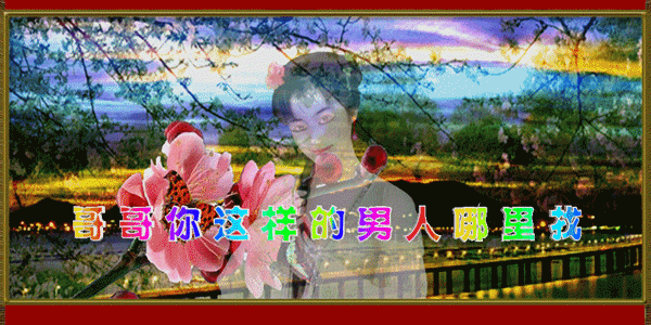 00.gif