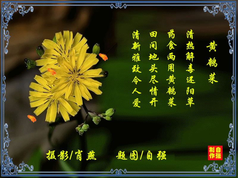 153、_副本.gif