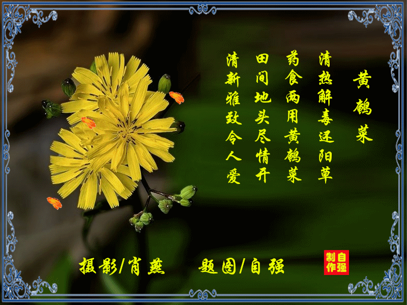 153、(1)_副本.gif