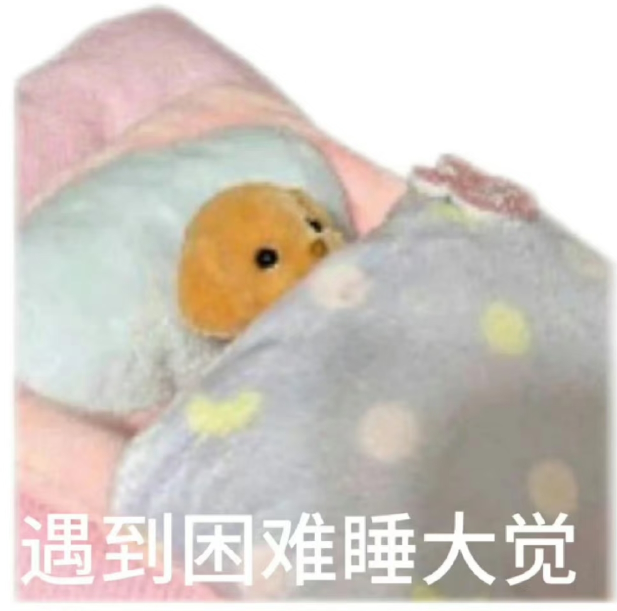 1000090623.jpg