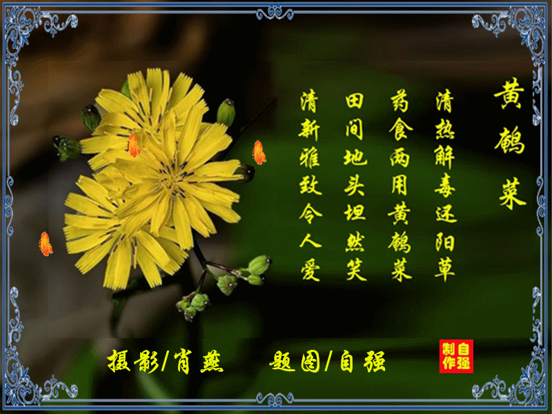 153_副本.gif