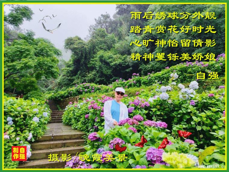 156、_副本.gif