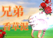 IMG_0189.gif