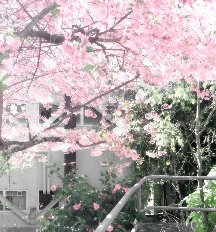 Screenshot_2026_0712_134359.png