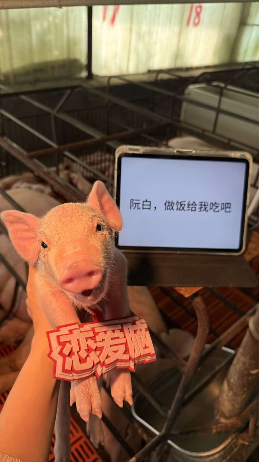 DD6F14AB8DC5835637B6421D7CE15402.png