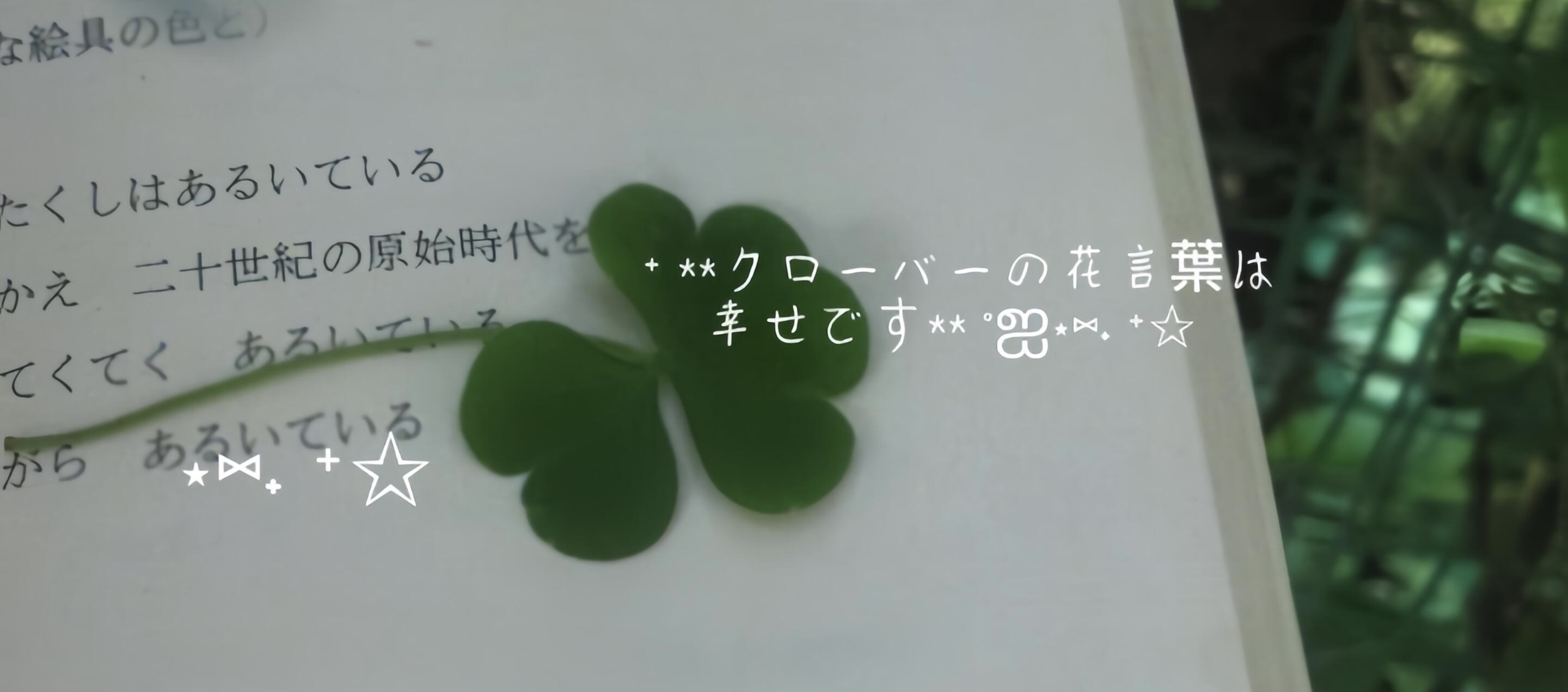 IMG_2231.jpeg