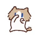mmexport4b0c9c74398d43bff0608fe47a06c5f7_1786067489081.gif